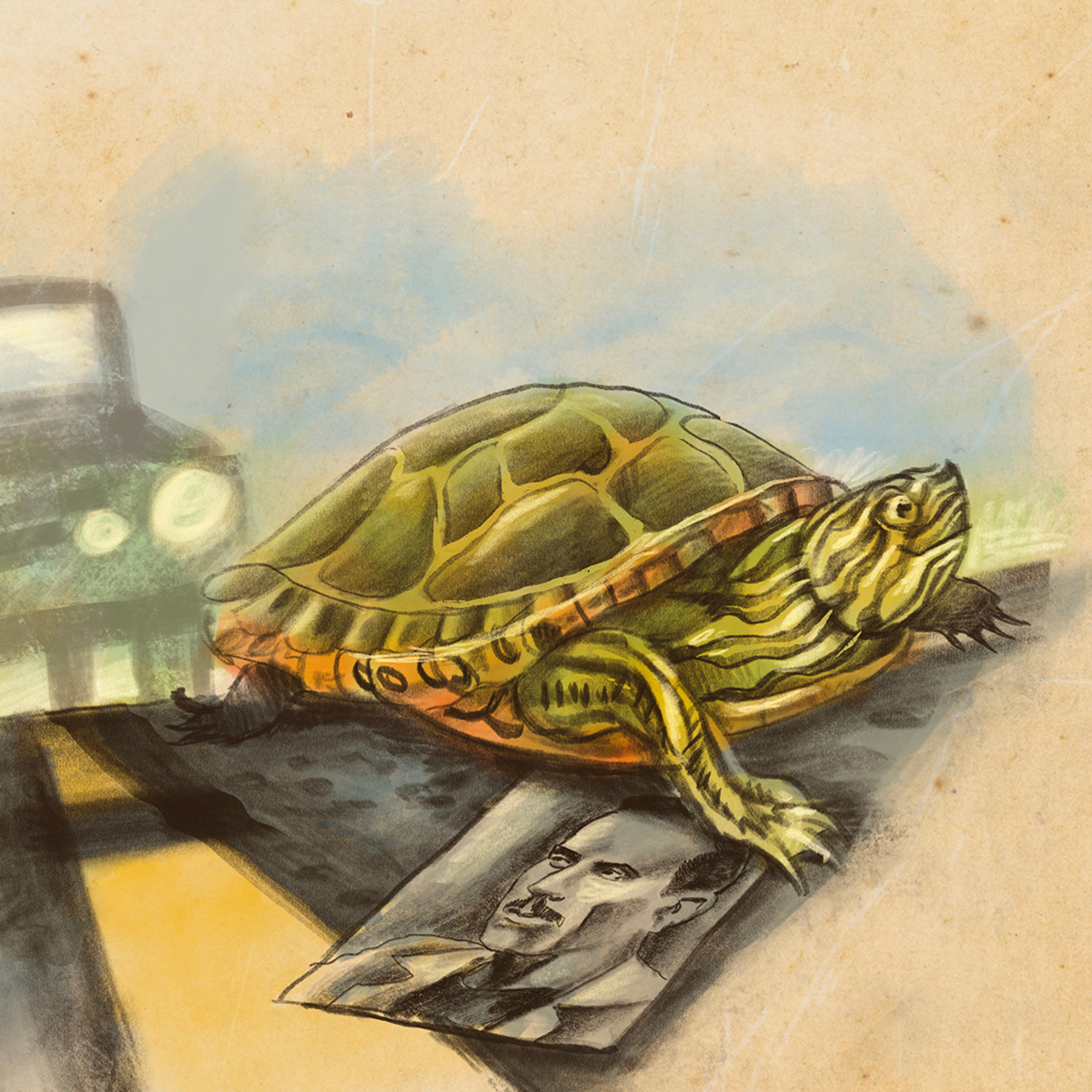Some Notes Towards a Metaphysics of the Ninepipes Reservoir Turtles